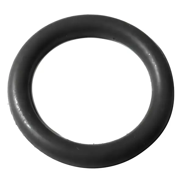 Anel Valvula Bloqueio MB 2423 Atego 1728 L1624