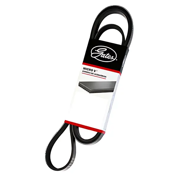 Correia para MB Onibus URS500 Gates