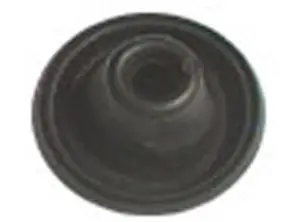 Guarda Po Scania CAM.T112