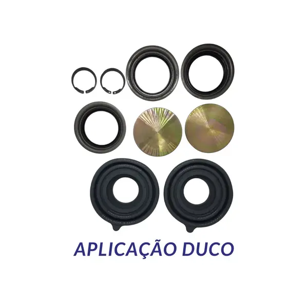 Jogo de Sapata com Fole Duco
