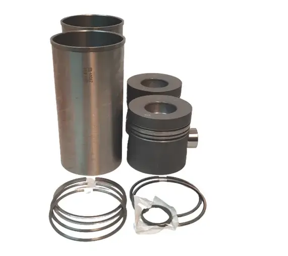 KIT Motor STD MB OM366LA 364 Onibus