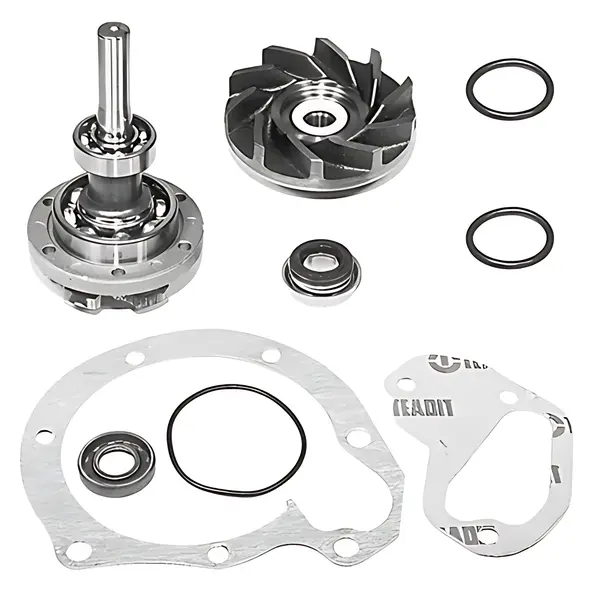 KIT Reparo Bomba Agua MB Motor OM366LA 96/05