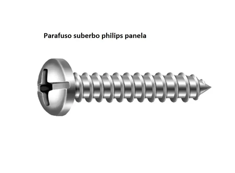 Parafuso Fenda/philips 5,5X13