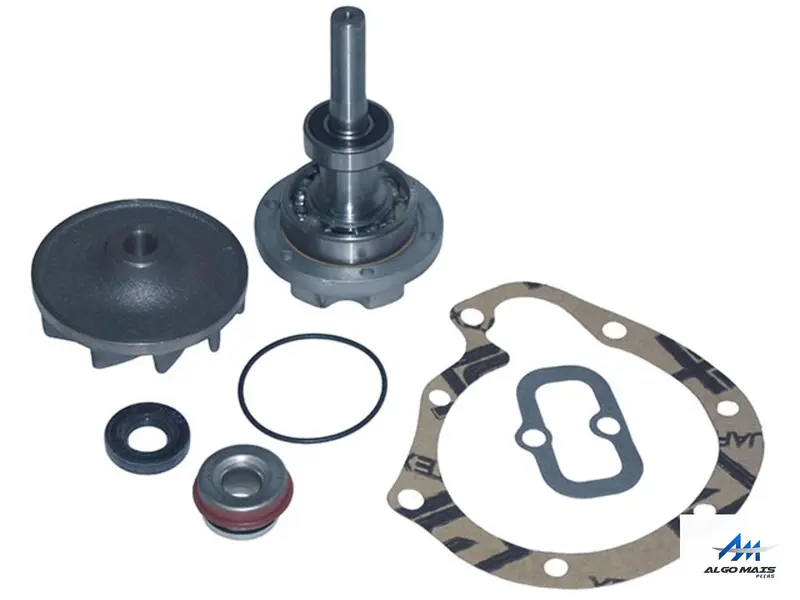 Reparo Bomba Agua MB OM366 OM366A Parcial