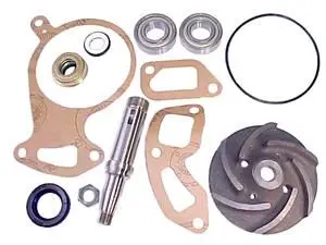 Reparo Bomba Scania LK140