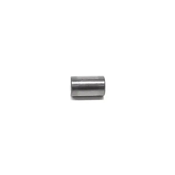 Rolete 10X16,90MM Engrenagem Satelite
