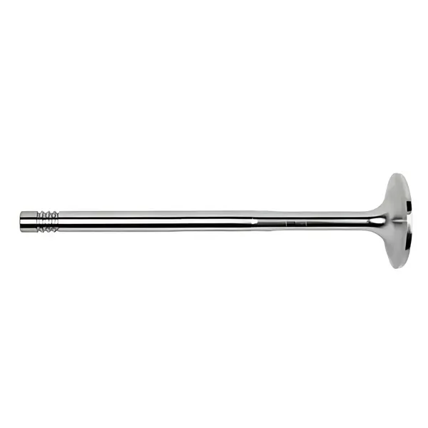 Valvula Admissao VW TGX 29440 28440 33440