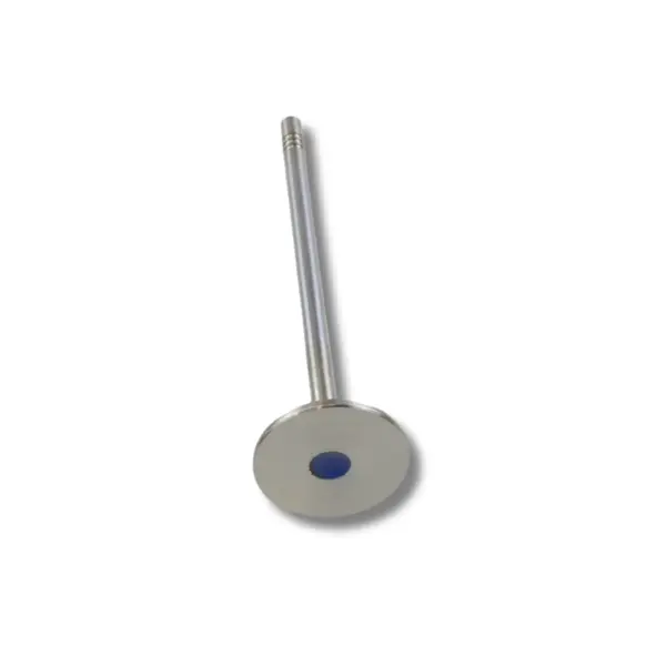 Válvula de Admissao VWCO 07W109601