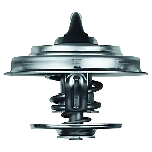Valvula Termostatica para MB L1113 L1313 L1620